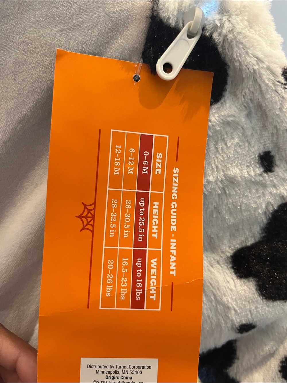 Cow - Picture 2 of 5